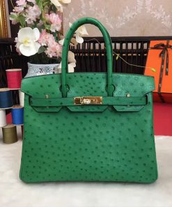 Hermes Birkin Bag Ostrich Leather Gold Hardware In Green