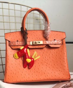 Hermes Birkin Bag Ostrich Leather Gold Hardware In Orange