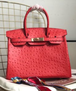 Hermes Birkin Bag Ostrich Leather Gold Hardware In Red